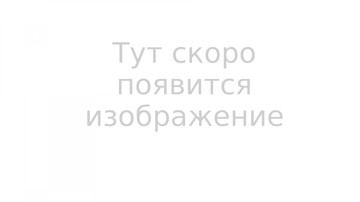 Курьер-пакет 300х400+45 мм. c карманом, без печати